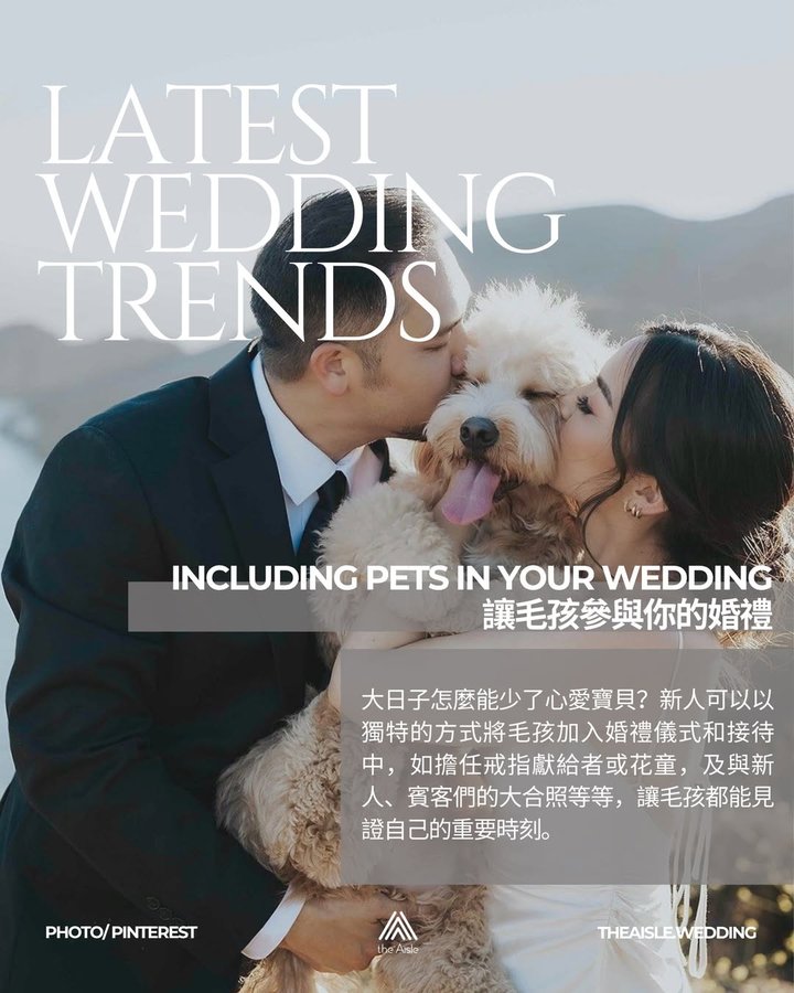 讓毛孩參與你的婚禮